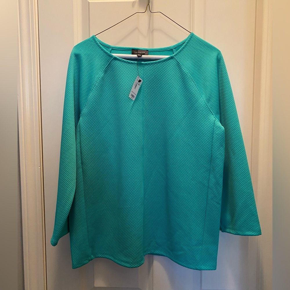 NWT Limited Sea foam Green Top-Medium